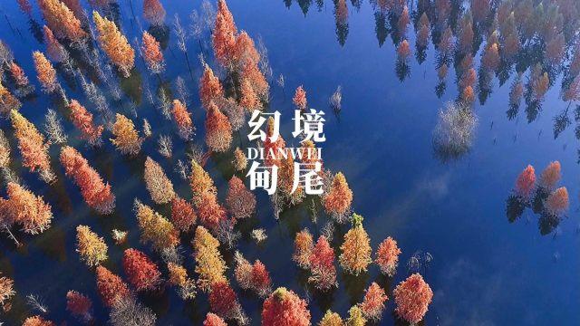 抖音推出“随心送”功能,助力新春吃喝玩乐