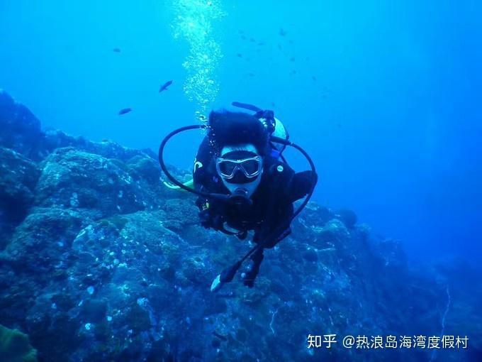 吹风机前十名排行榜:2024戴森徕芬初扉等持续发光发热
